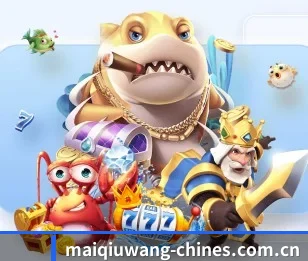 了解平台 - 体育资讯内容服务 | maiqiuwang