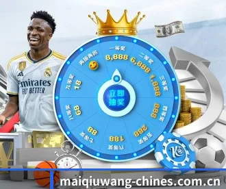 买球网 APP 深度功能(maiqiuwang)